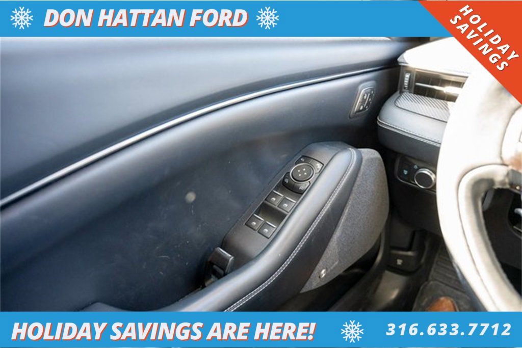 Used 2021 Ford Mustang Mach-E Premium image 19