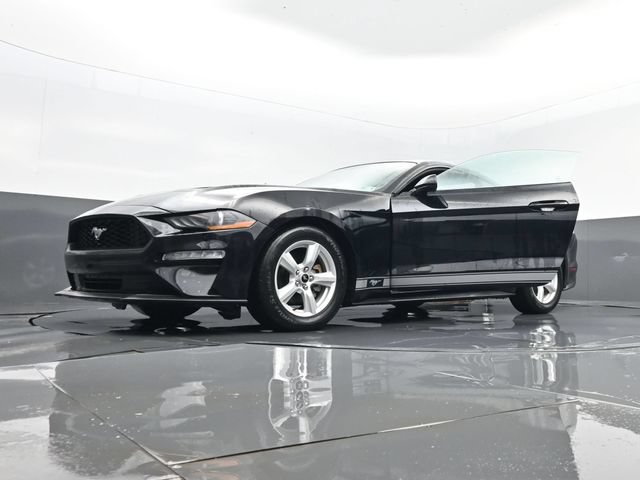 Used 2019 Ford Mustang Coupe RWD image 29