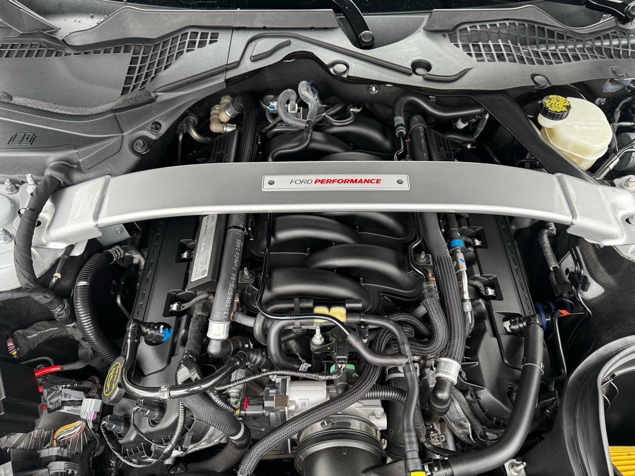 Used 2017 Ford Mustang Shelby GT350 RWD image 28