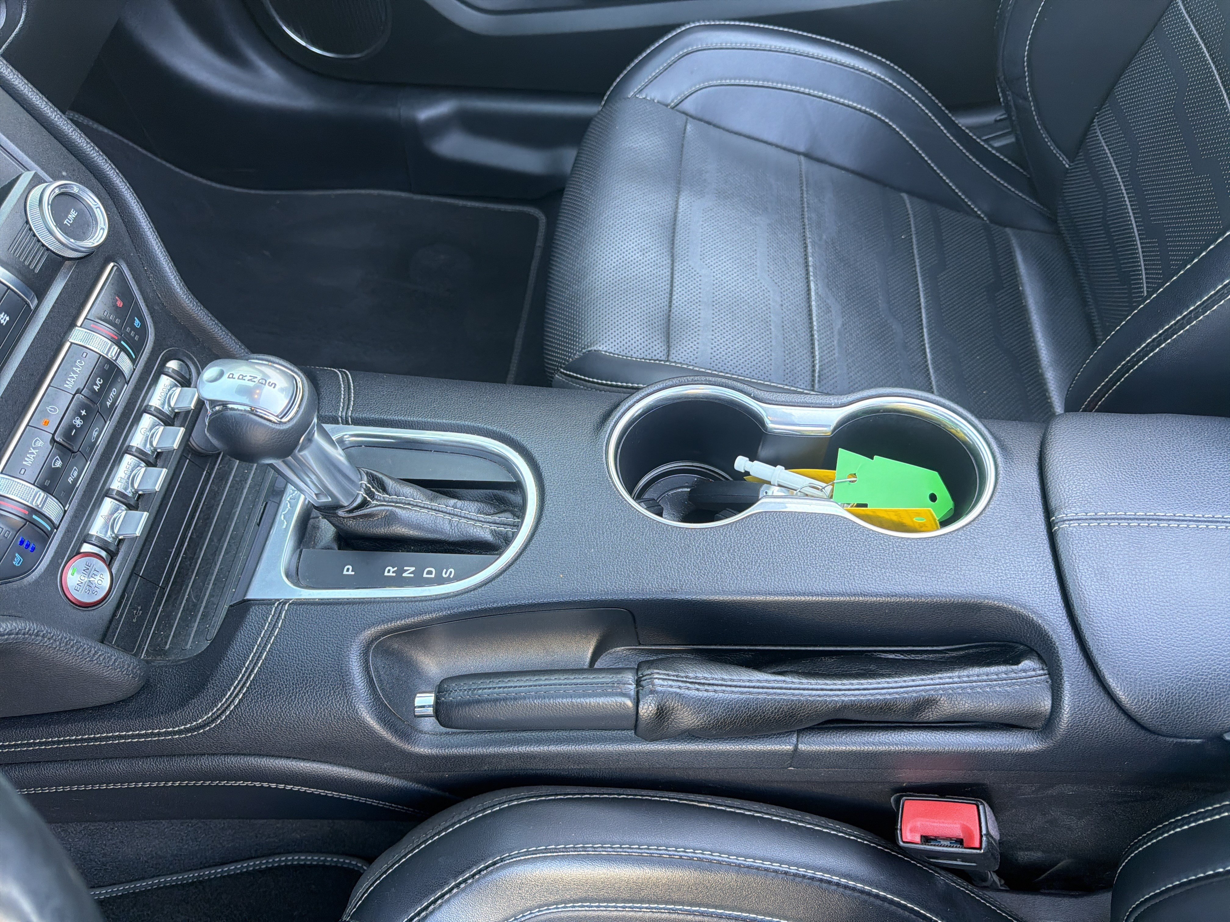 Used 2019 Ford Mustang Premium w/ Equipment Group 201A RWD image 38