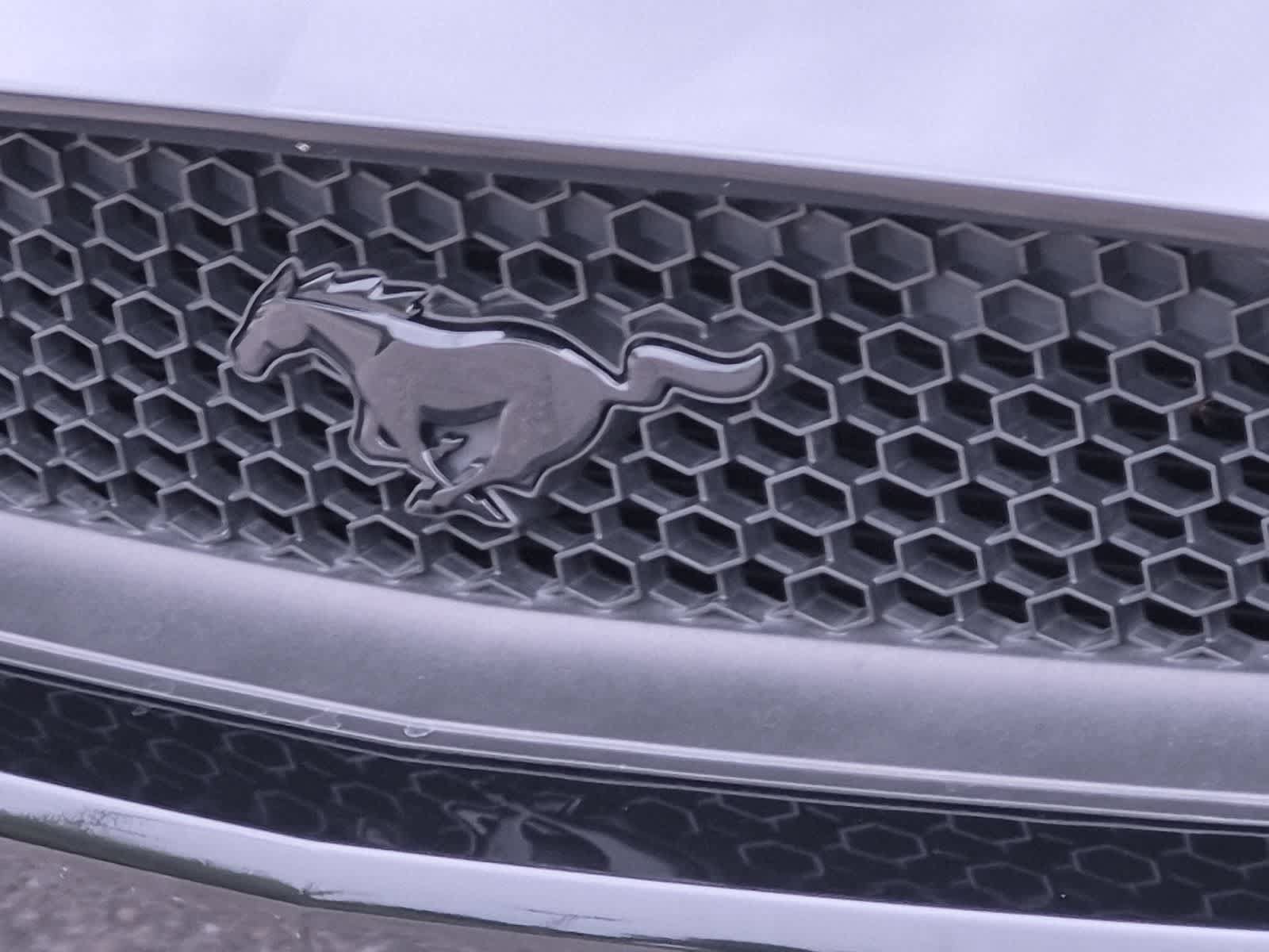 Used 2015 Ford Mustang GT Premium RWD image 12