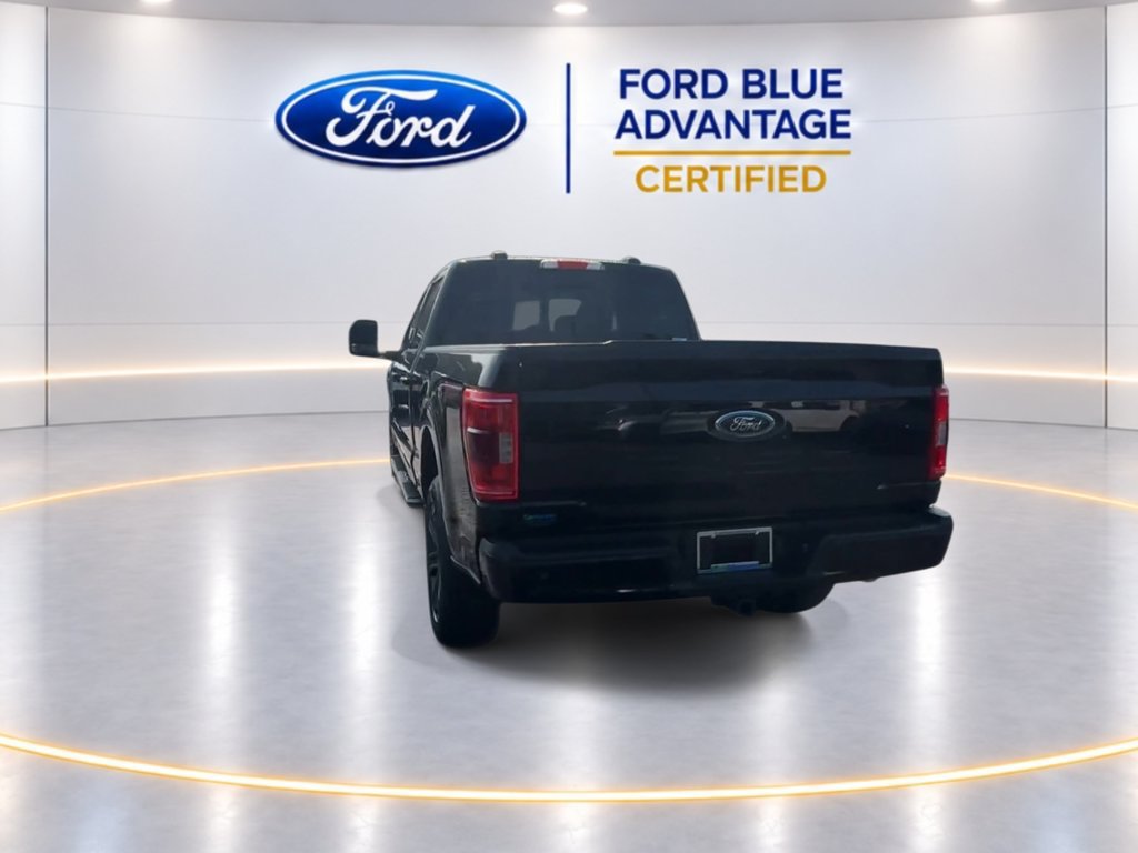 Certified 2023 Ford F150 XLT w/ Equipment Group 302A High AWD/4WD image 8