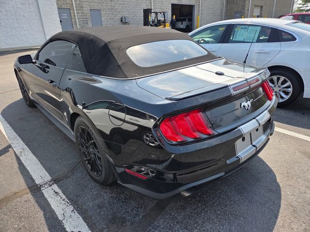 Used 2018 Ford Mustang Premium w/ Equipment Group 201A image 6