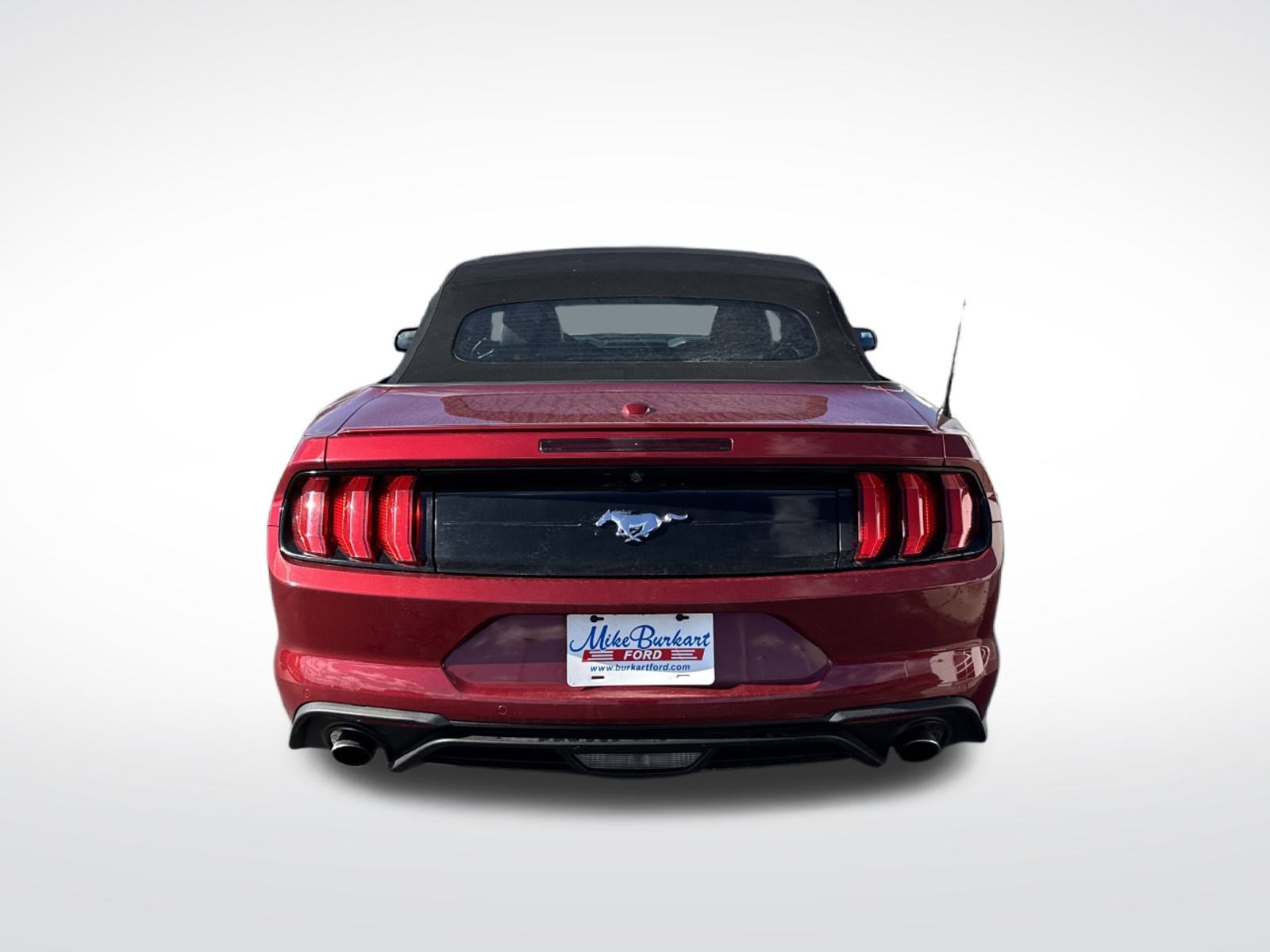 Used 2018 Ford Mustang Premium w/ Equipment Group 201A image 10