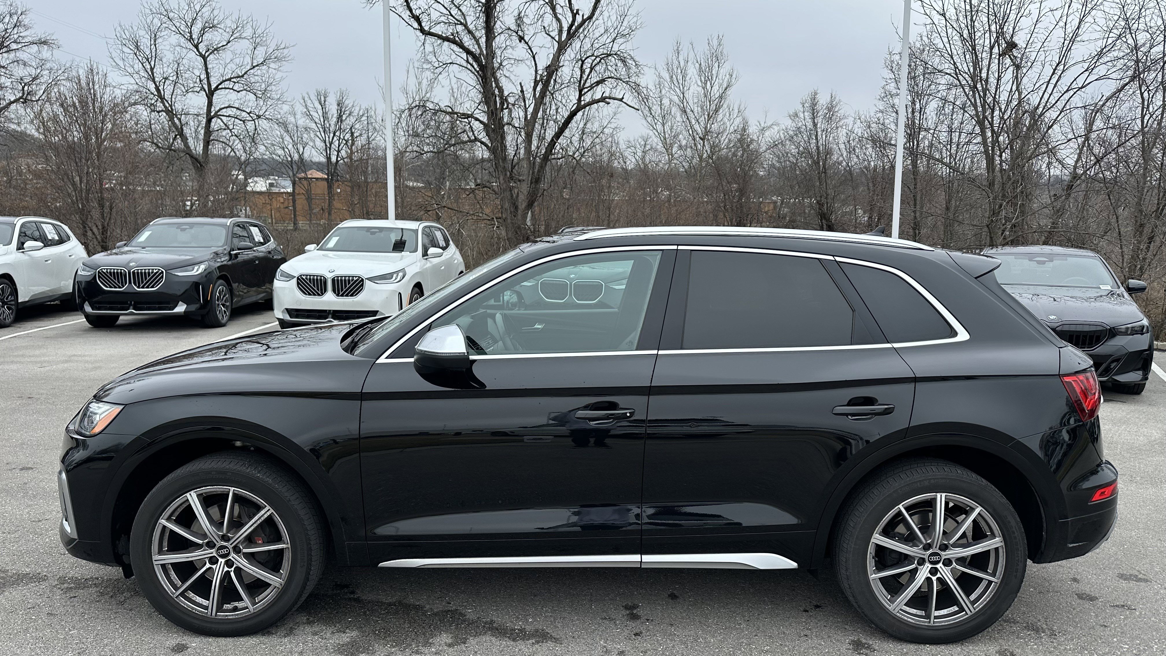 Used 2023 Audi SQ5 Premium Plus w/ Premium Plus Package AWD/4WD image 7