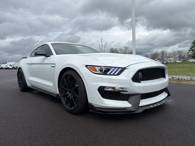 Used 2016 Ford Mustang Shelby GT350 w/ Technology Package RWD image 1