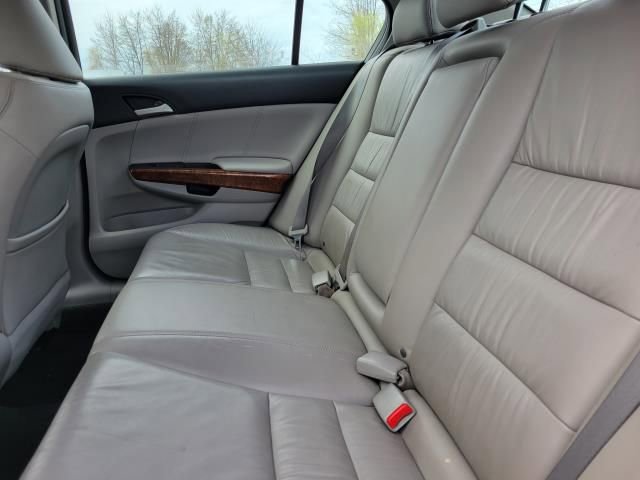 Used 2011 Honda Accord EX-L image 8