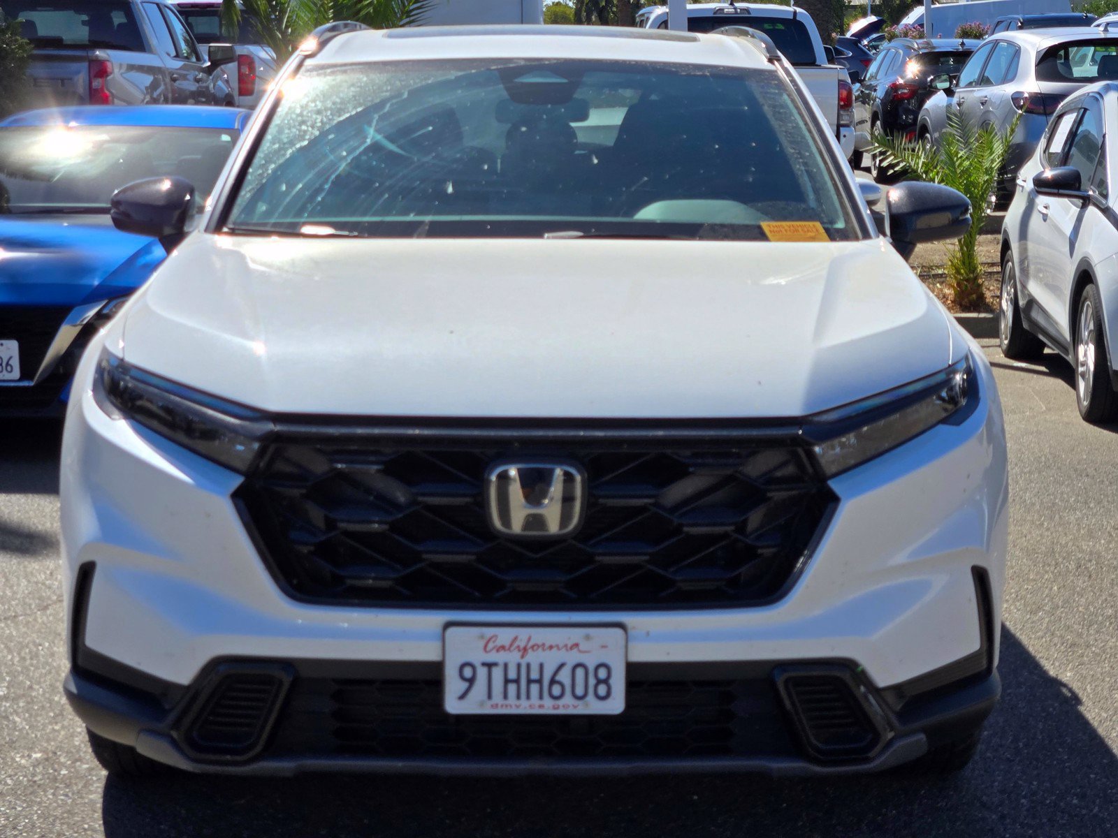 Used 2025 Honda CR-V Sport image 2
