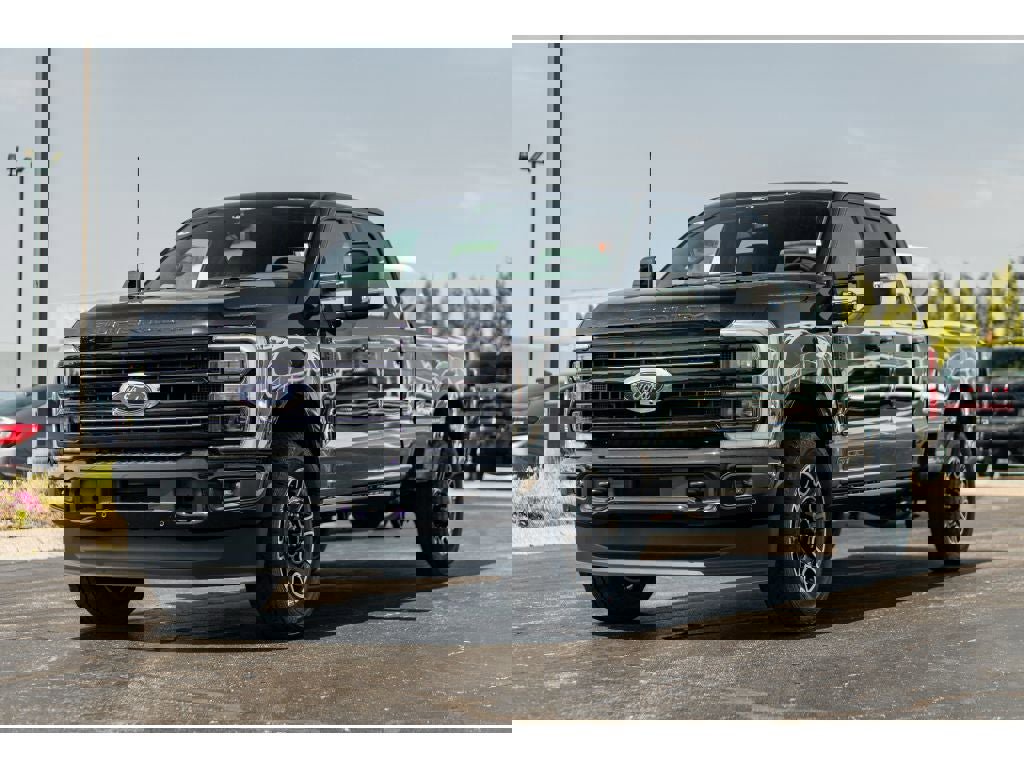 New 2025 Ford F250 Platinum image 2