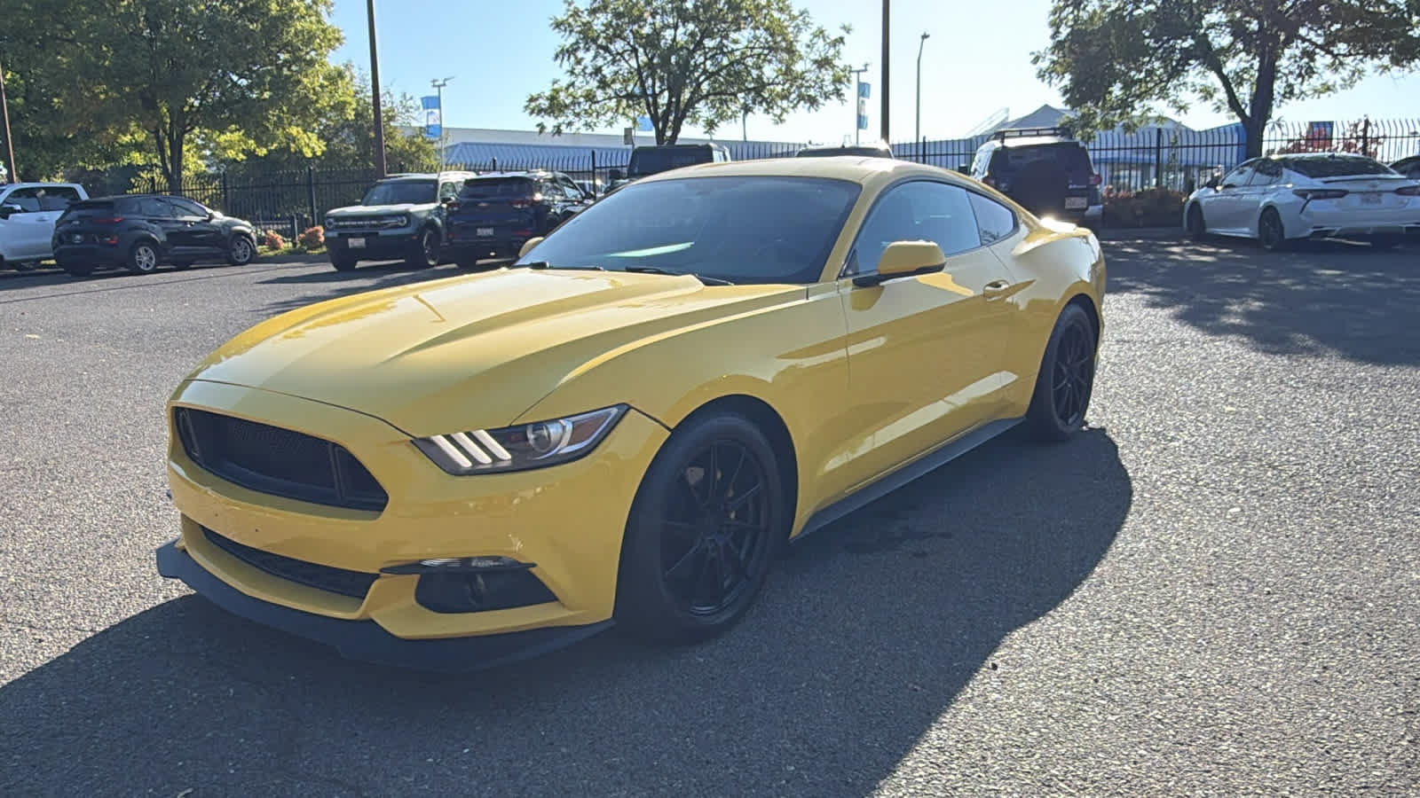 Used 2016 Ford Mustang Premium