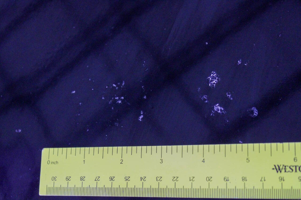 Used 1999 Dodge Dakota Sport image 26