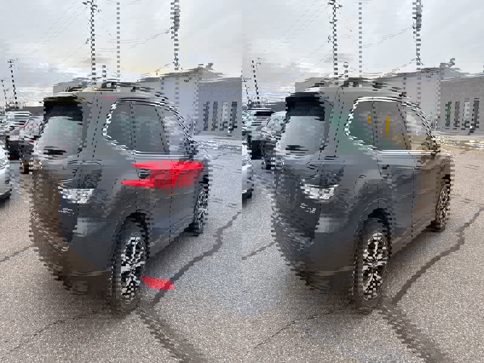 Used 2023 Subaru Forester Limited image 3