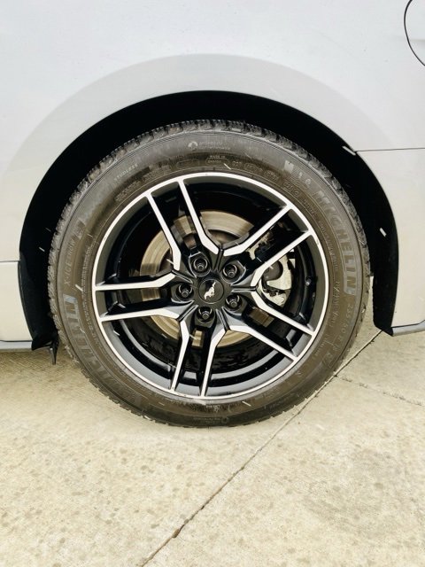 Used 2021 Ford Mustang GT w/ Equipment Group 301A image 9