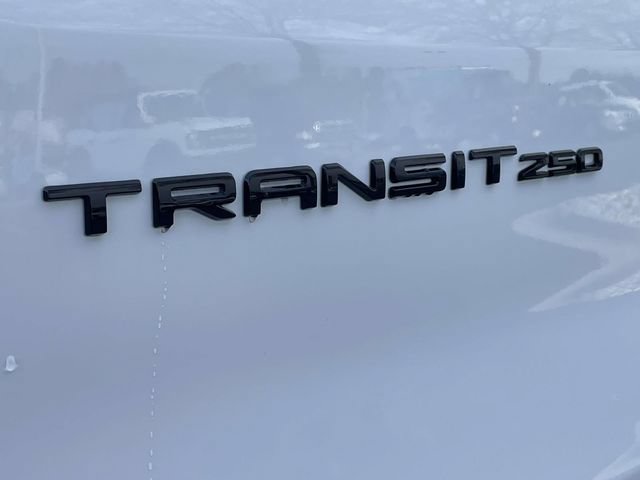 New 2026 Ford Transit 250 Low Roof w/ Load Area Protection Package RWD image 21