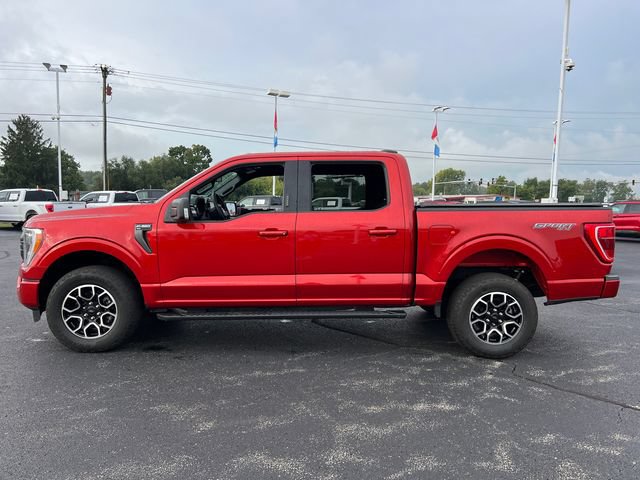 Used 2023 Ford F150 XLT w/ Equipment Group 302A High AWD/4WD image 4