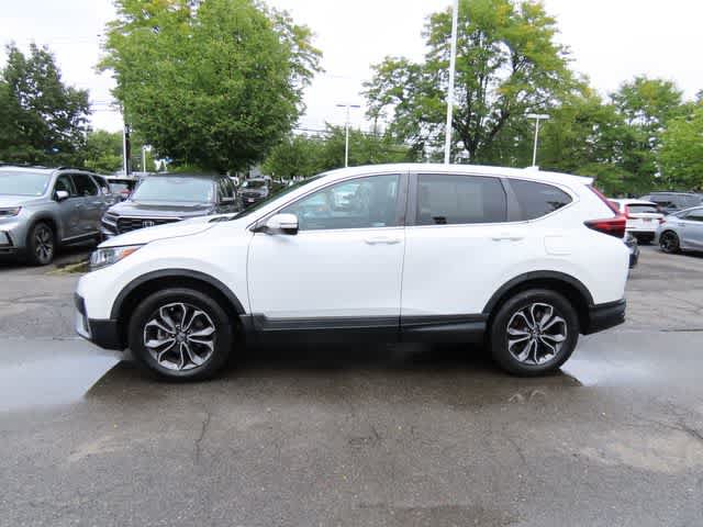 Certified 2022 Honda CR-V EX-L image 3