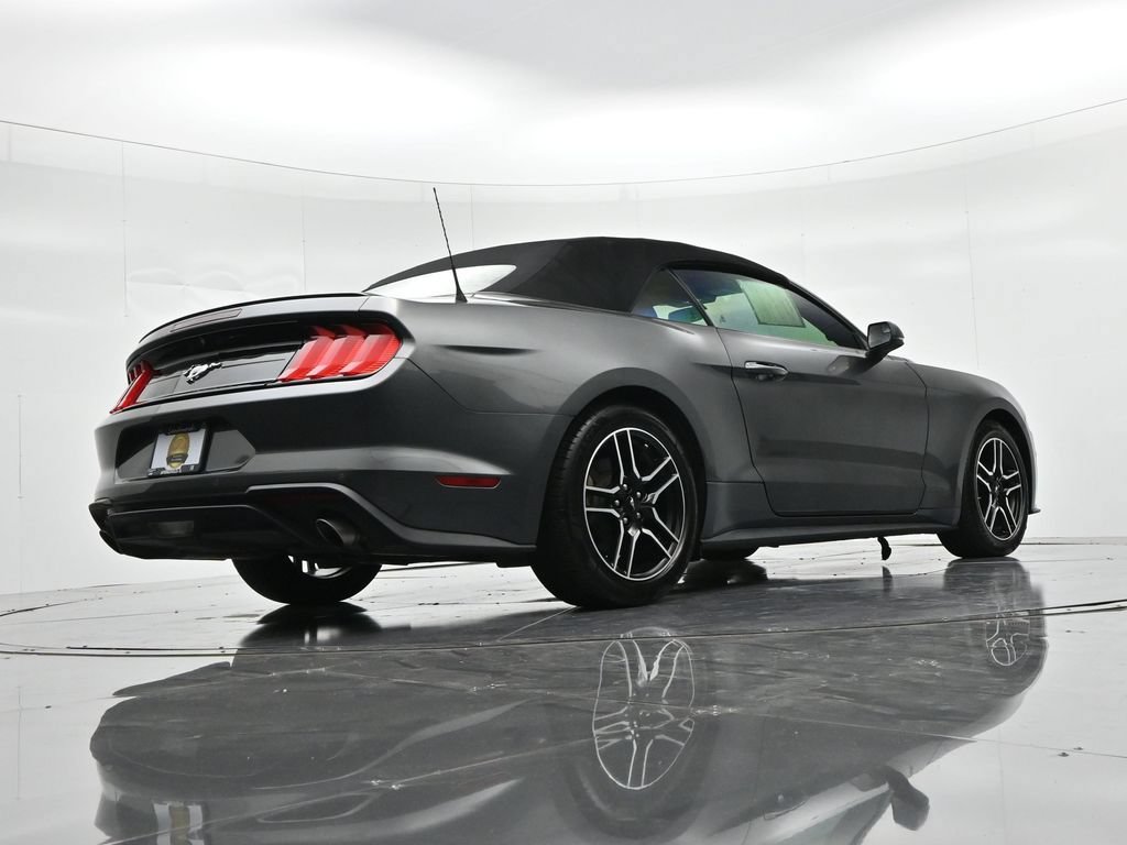 Certified 2019 Ford Mustang Premium RWD image 21