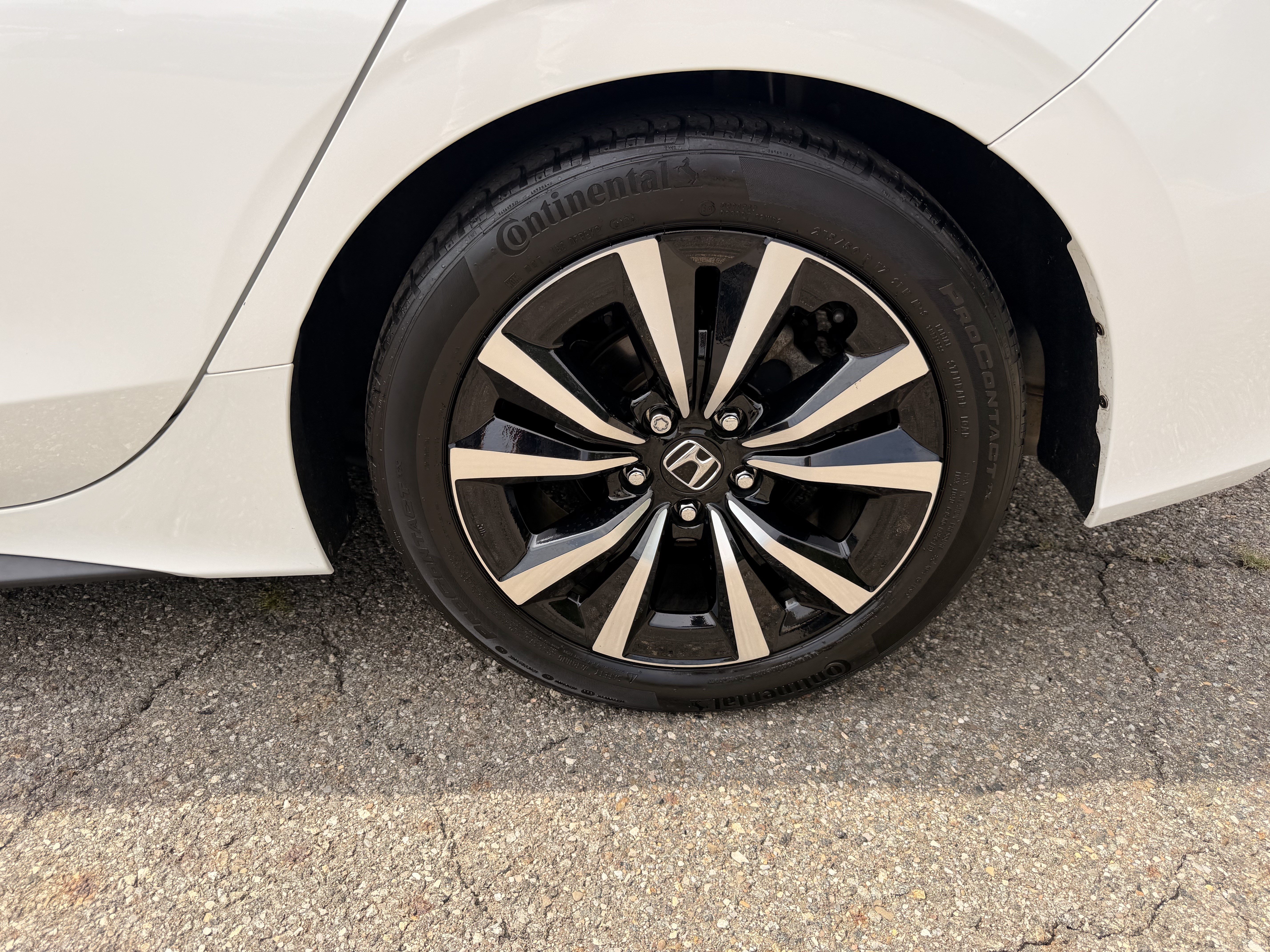 Used 2024 Honda Civic EX-L image 8