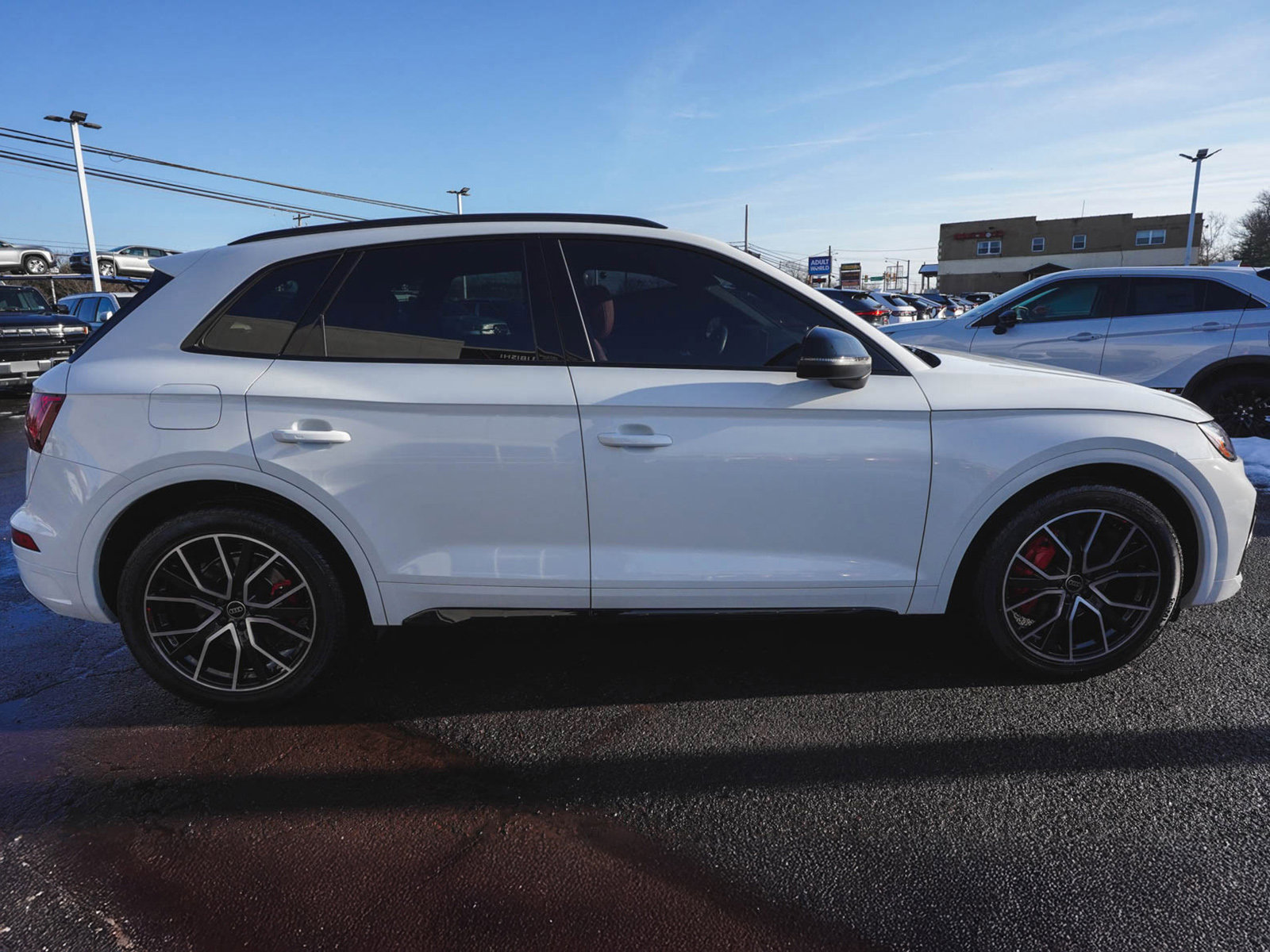 Used 2023 Audi SQ5 Premium Plus w/ Premium Plus Package image 4