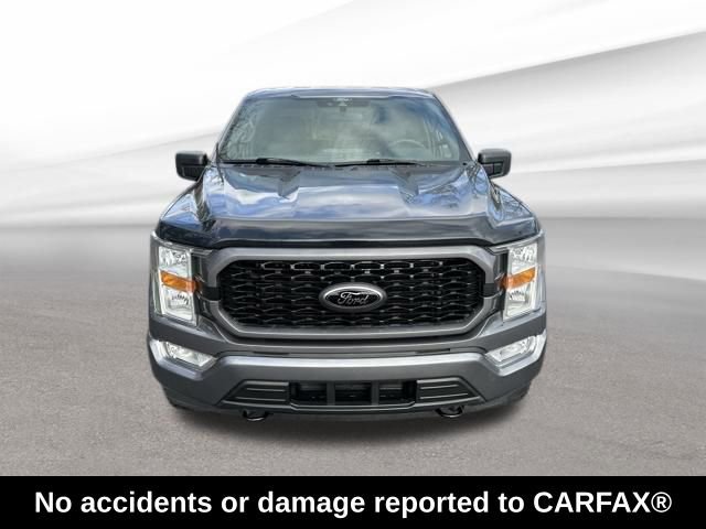 Used 2022 Ford F150 XL w/ STX Black Appearance Package image 2