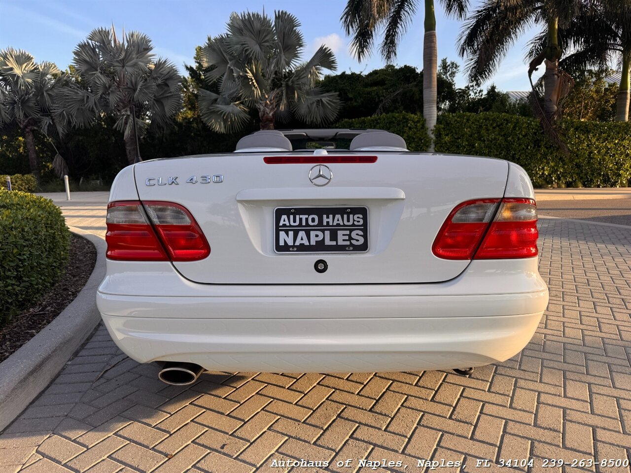 Used 2001 Mercedes-Benz CLK 430 Cabriolet image 5