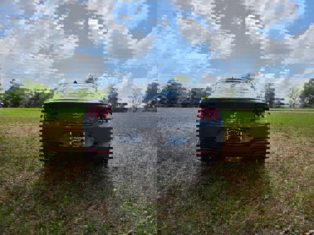 New 2026 Ford Mustang Coupe image 6