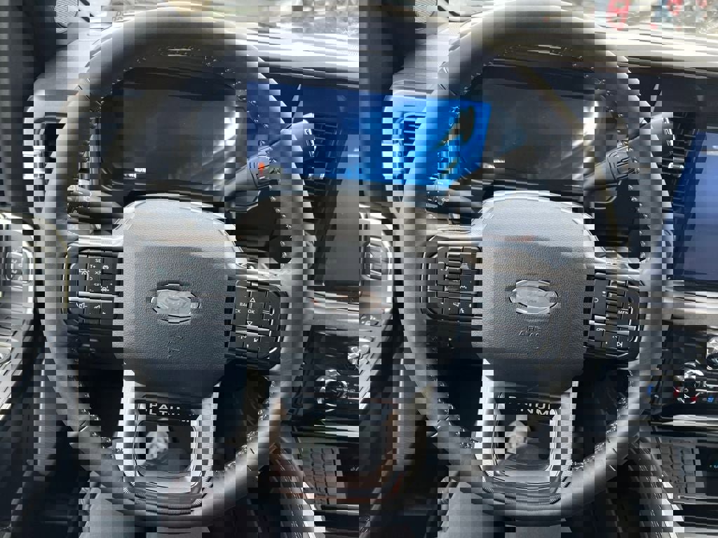 New 2026 Ford F250 Platinum w/ Tremor Off-Road Package image 14