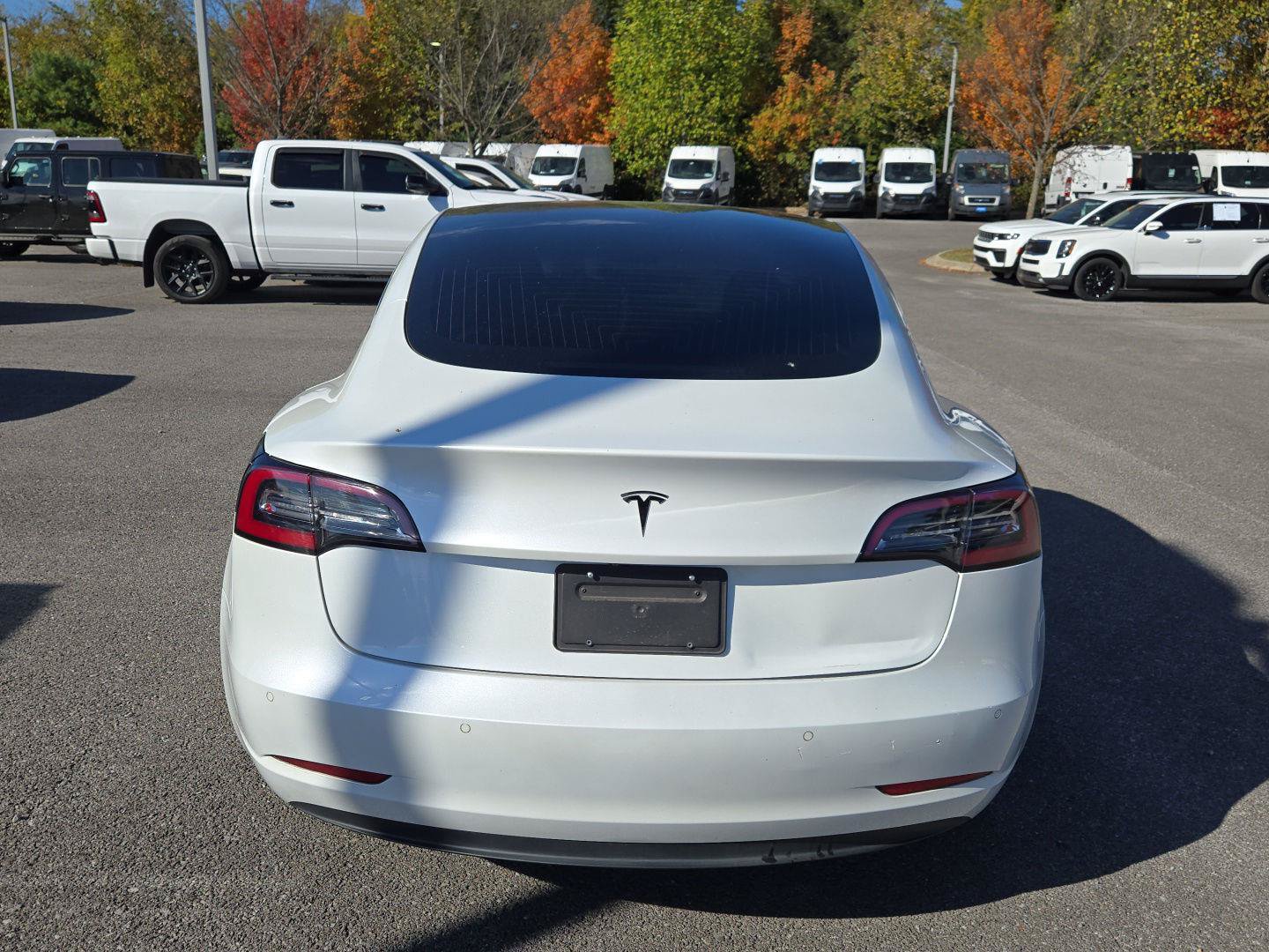 Used 2020 Tesla Model 3 Standard Range RWD image 6
