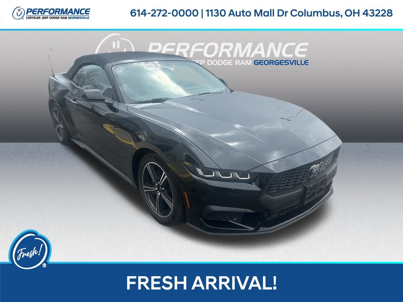 Used 2024 Ford Mustang Premium image 1