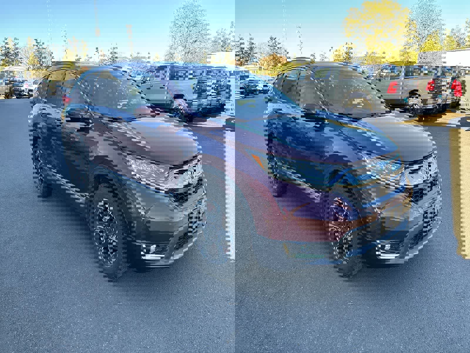 Used 2017 Honda CR-V Touring image 6