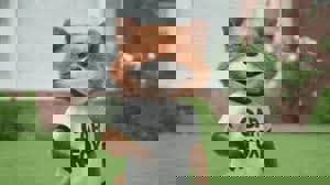 Used 2019 Chevrolet Silverado 1500 LT w/ Texas Edition