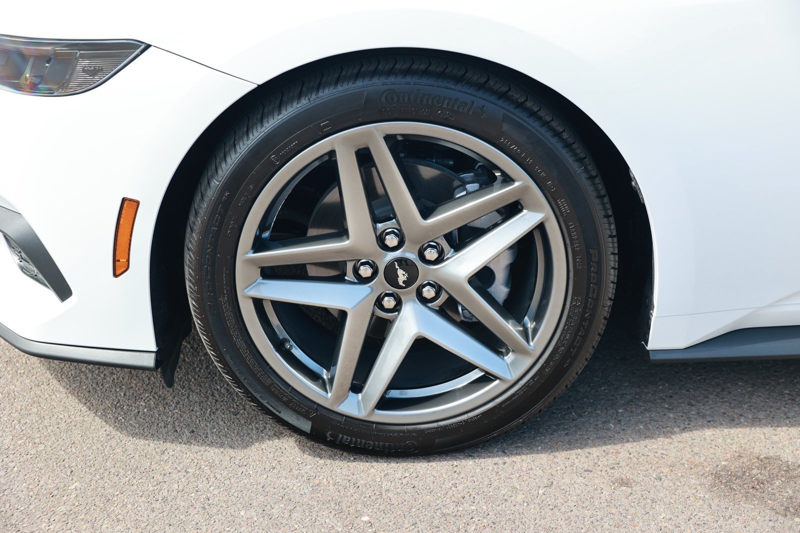 Used 2026 Ford Mustang Premium w/ Anti-Theft Package RWD image 12
