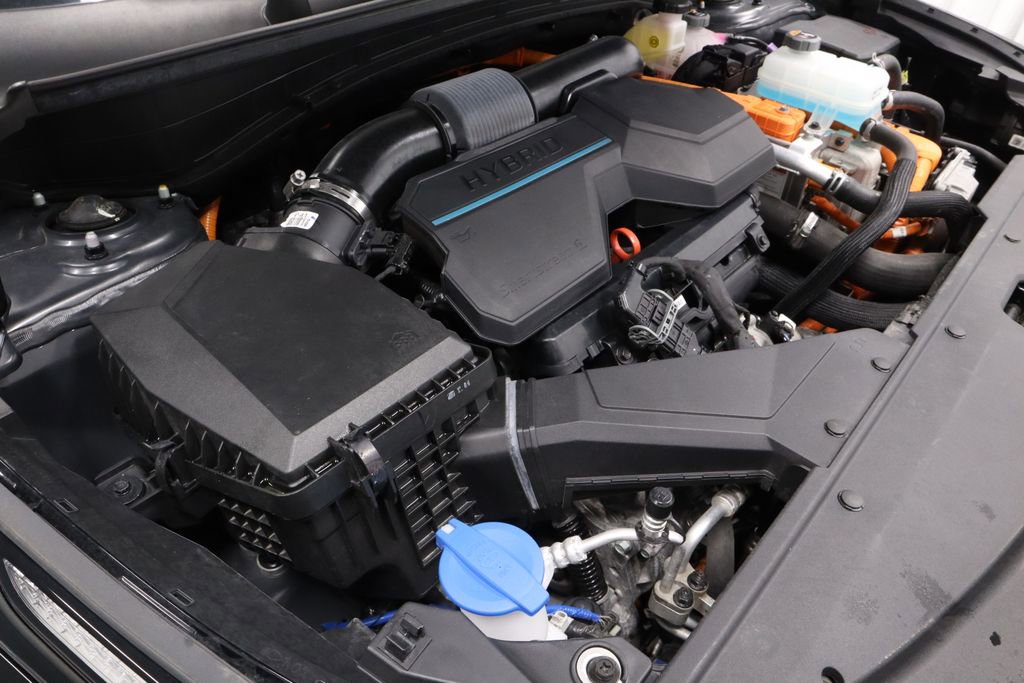 Used 2024 Kia Sportage X-Line image 16