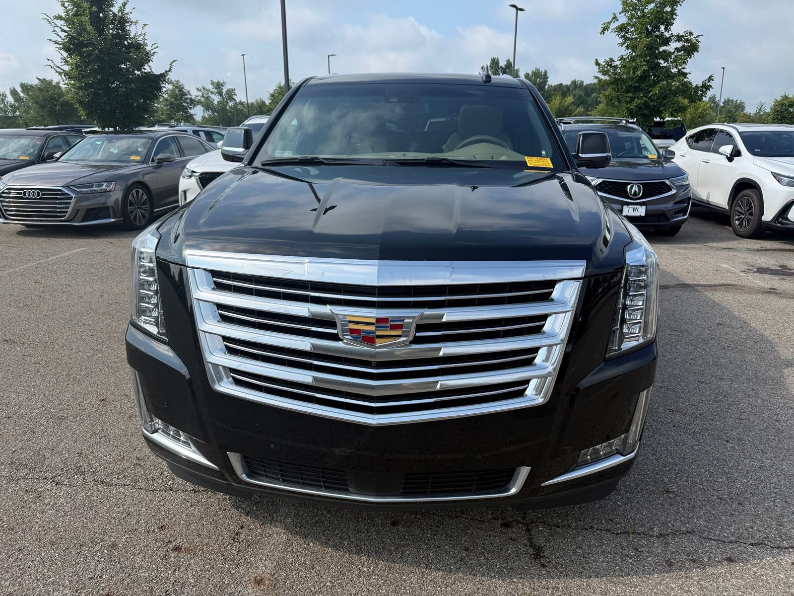 Used 2019 Cadillac Escalade Platinum AWD/4WD image 2