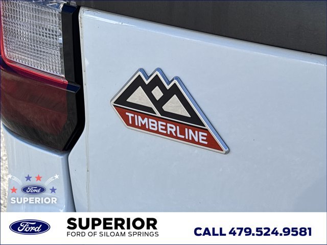 Used 2022 Ford Expedition Timberline AWD/4WD image 6