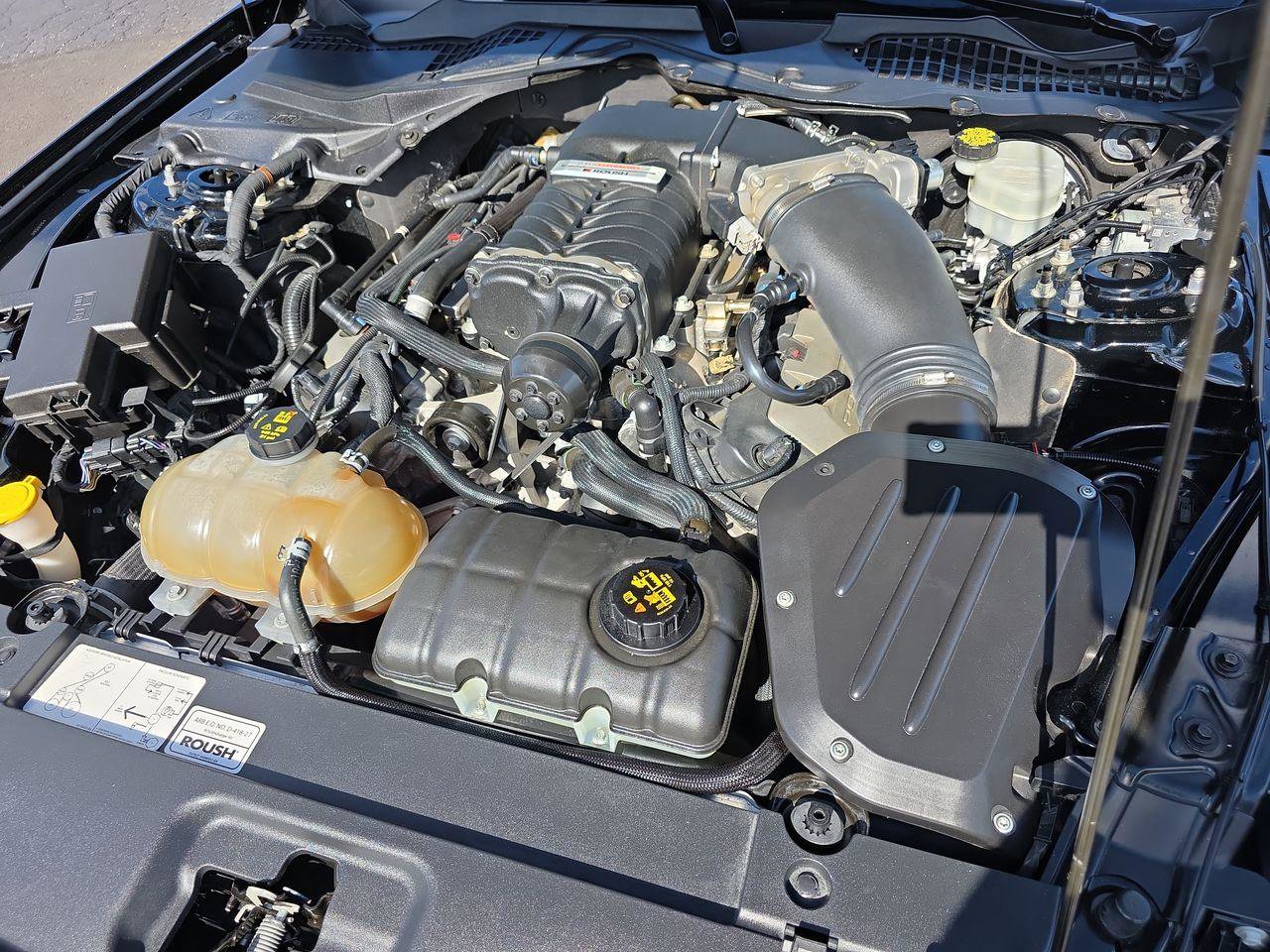 Used 2015 Ford Mustang GT Premium w/ Equipment Group 401A RWD image 12
