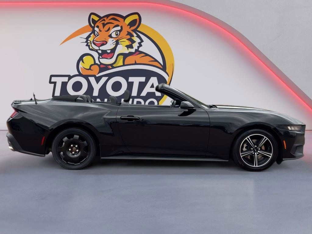 Used 2024 Ford Mustang Premium image 4