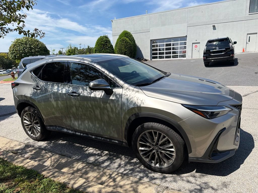 Certified 2026 Lexus NX 350h AWD w/ Cold Area Package image 9