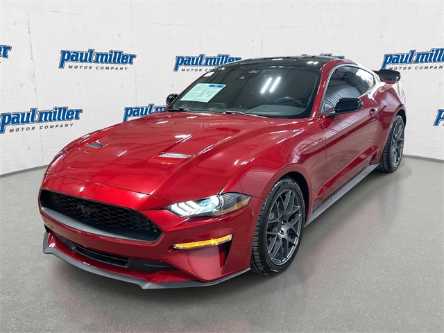 Used 2023 Ford Mustang Coupe w/ Equipment Group 101A image 1