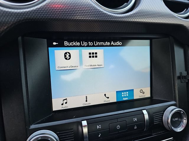 Used 2018 Ford Mustang GT w/ Equipment Group 301A RWD image 23