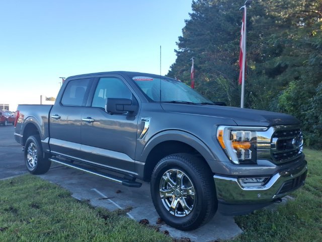 Used 2023 Ford F150 XLT w/ Equipment Group 302A High AWD/4WD image 1