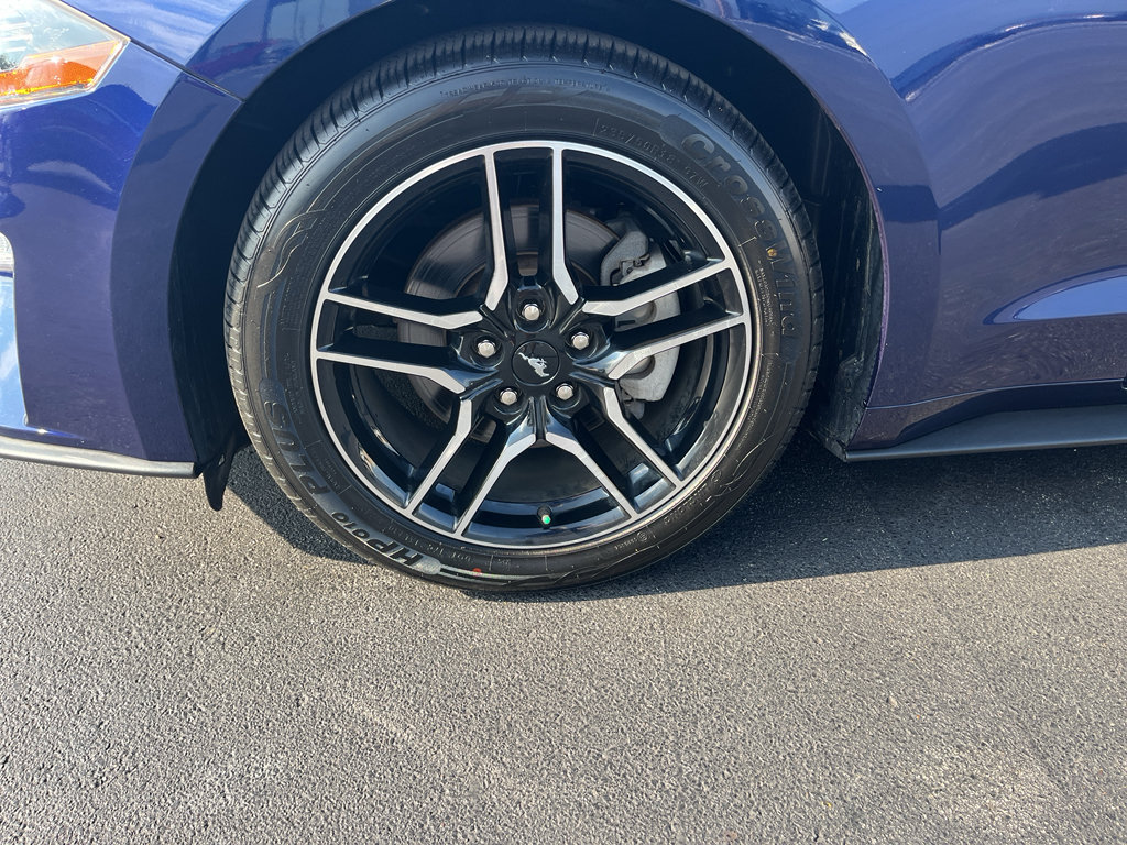 Used 2019 Ford Mustang Premium RWD image 9