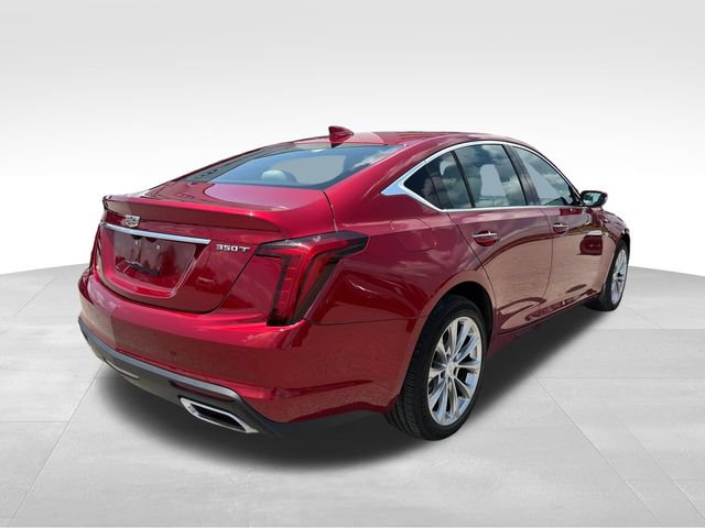 Used 2023 Cadillac CT5 Luxury AWD/4WD image 6