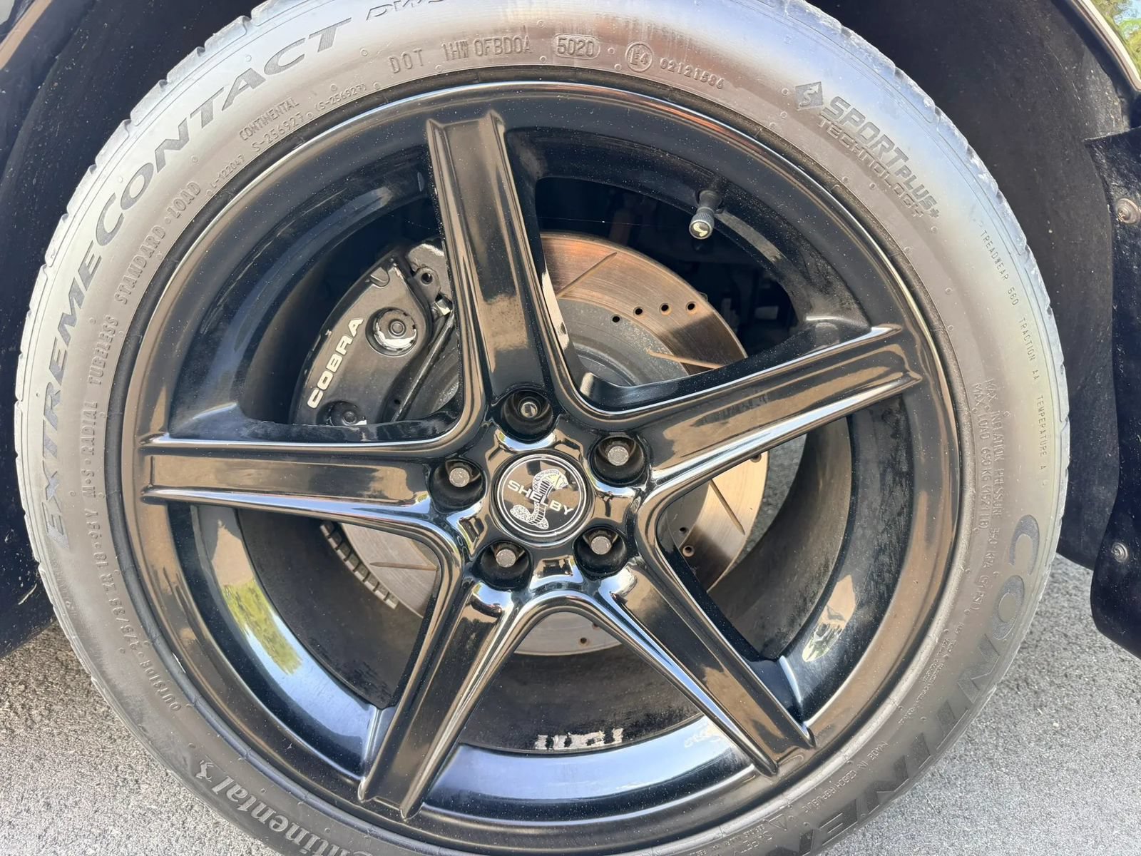 Used 1998 Ford Mustang Cobra RWD image 18