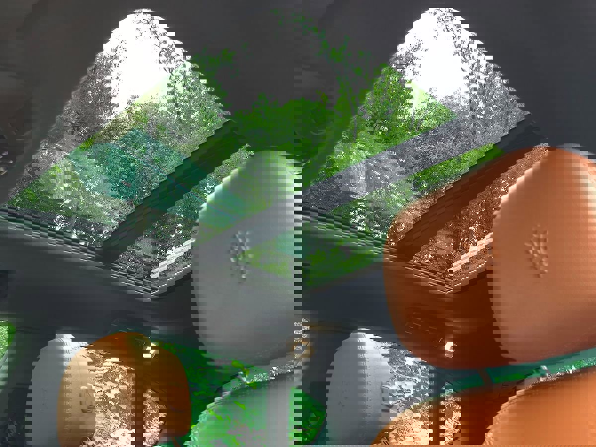 Used 2022 Maserati Levante GT image 51