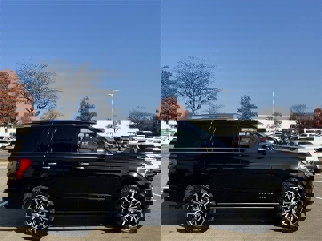 Used 2019 Ford Expedition Platinum image 3