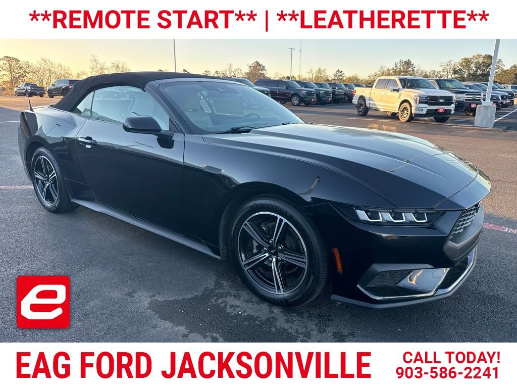 Used 2024 Ford Mustang Premium image 1