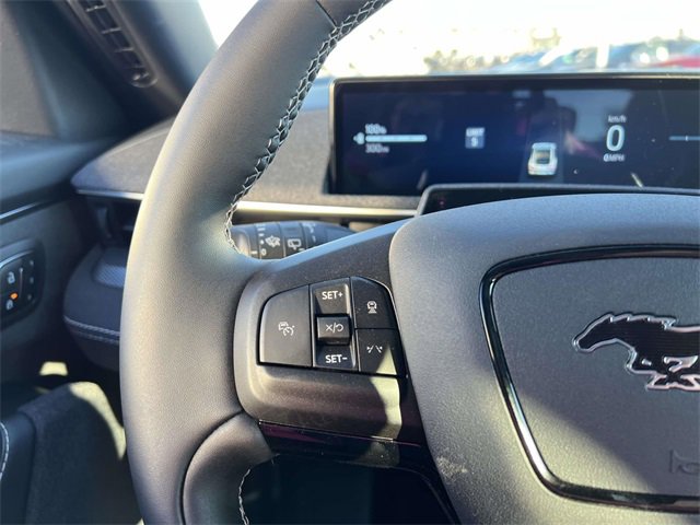 New 2025 Ford Mustang Mach-E GT w/ Bronze Appearance Package image 16