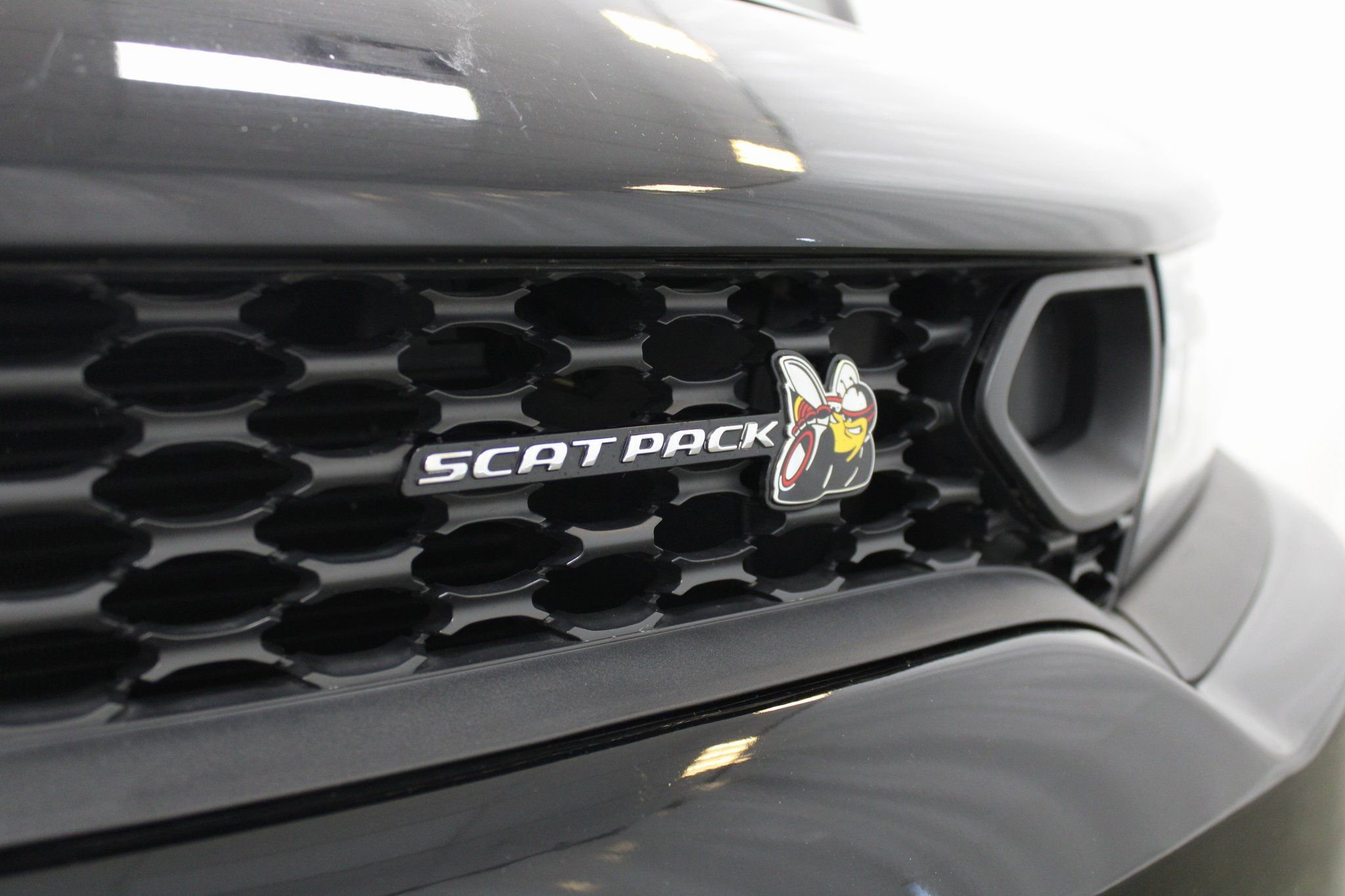 Used 2019 Dodge Charger Scat Pack image 12