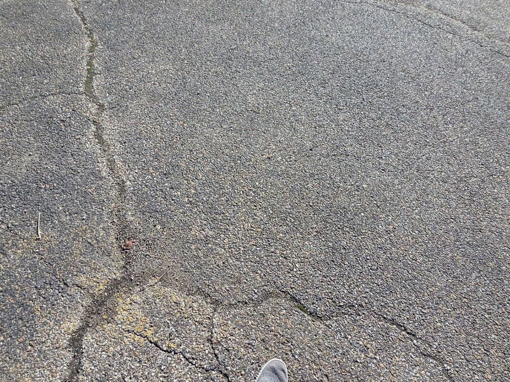 Used 2025 Ford Mustang Premium image 11